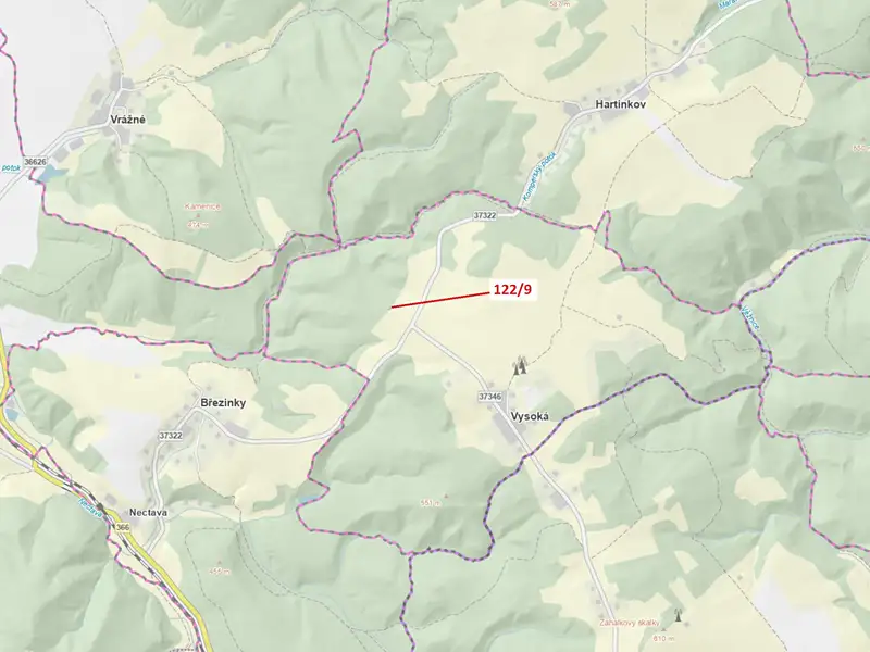 Dražba lesa 20 m², Jenišovice – náhled fotky 1