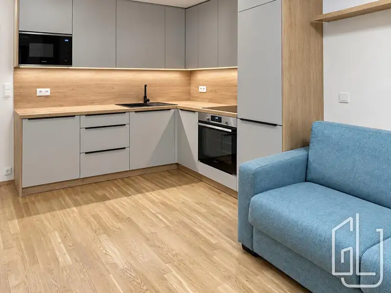 Pronájem bytu 1+kk 32 m², Praha – náhled fotky 2