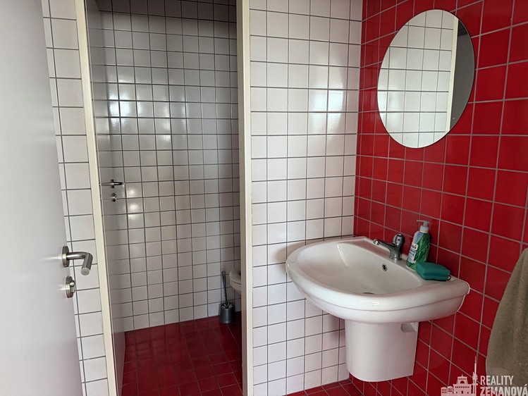 Pronájem komerčního prostoru, 230 m² (6 z 11)