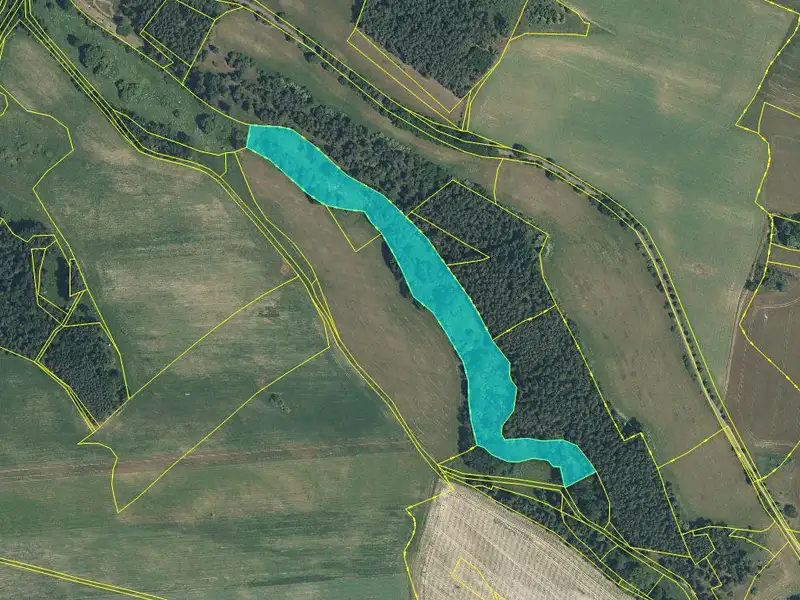 Dražba pozemku 26187 m², Prostiboř – náhled fotky 1