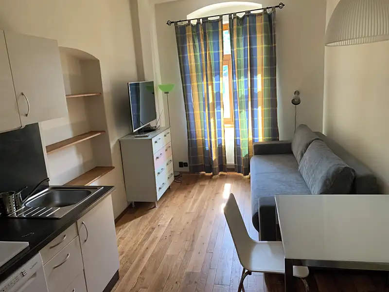 Pronájem bytu 2+kk 50 m², Karlovy Vary – náhled fotky 1