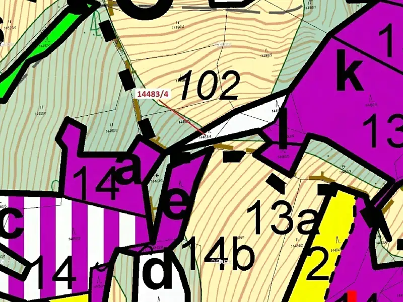 Dražba lesa 173 m², Hovězí – náhled fotky 3