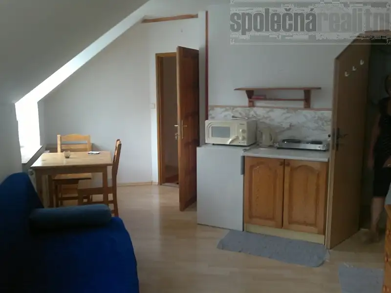 Pronájem bytu 1+kk 25 m², Holubice – náhled fotky 2