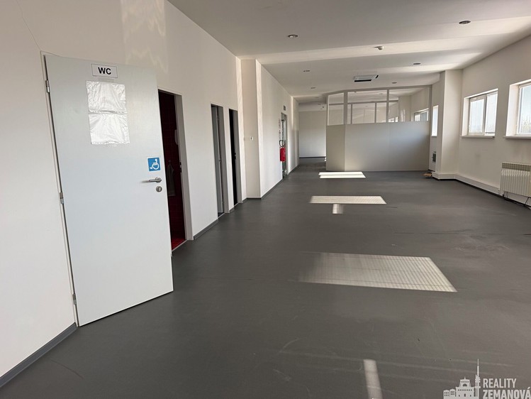 Pronájem komerčního prostoru, 230 m² (3 z 11)
