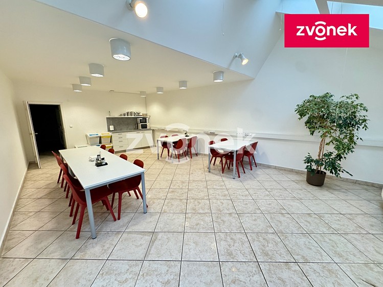 Комерційне приміщення в оренду, 460 м² (7 з 23)