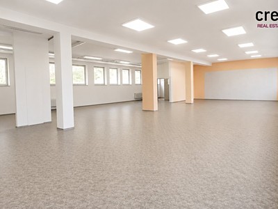 Gewerbefläche zur Miete, 203 m² (3 von 11)