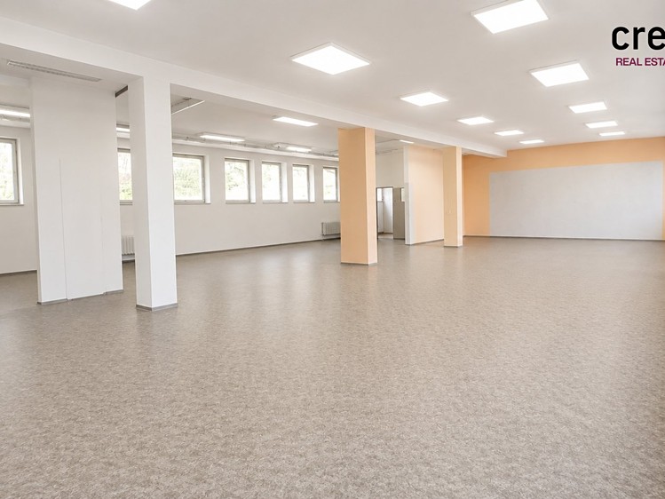 Gewerbefläche zur Miete, 203 m² (3 von 11)
