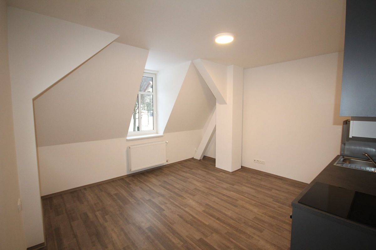 Pronájem bytu 1+kk 29 m² – fotografie 3