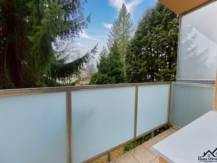 Pronájem bytu 2+1, 59 m² (26 z 26)