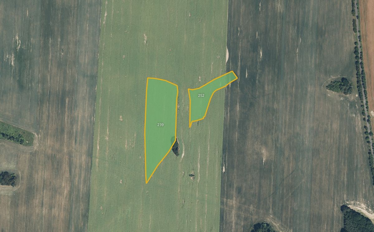 Prodej pole 11320 m², Hostouň – fotka 1 z 3