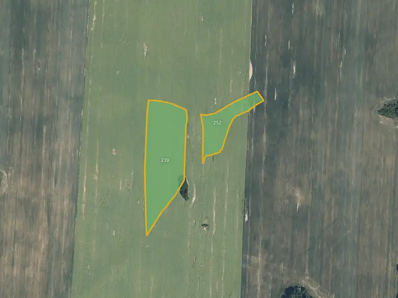 Prodej pole 11320 m², Hostouň – náhled fotky 1