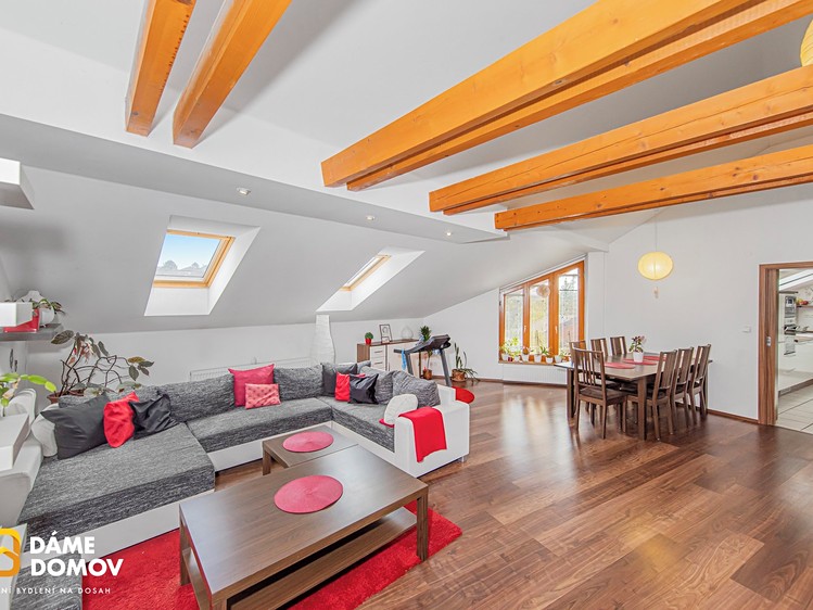 Prodej domu, 581 m² (4 z 63)