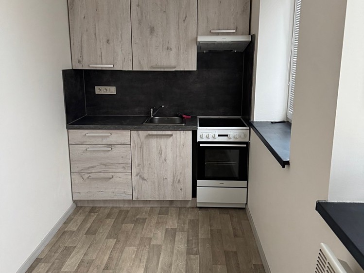 Квартира 1+1 в оренду, 26 м² (1 з 4)