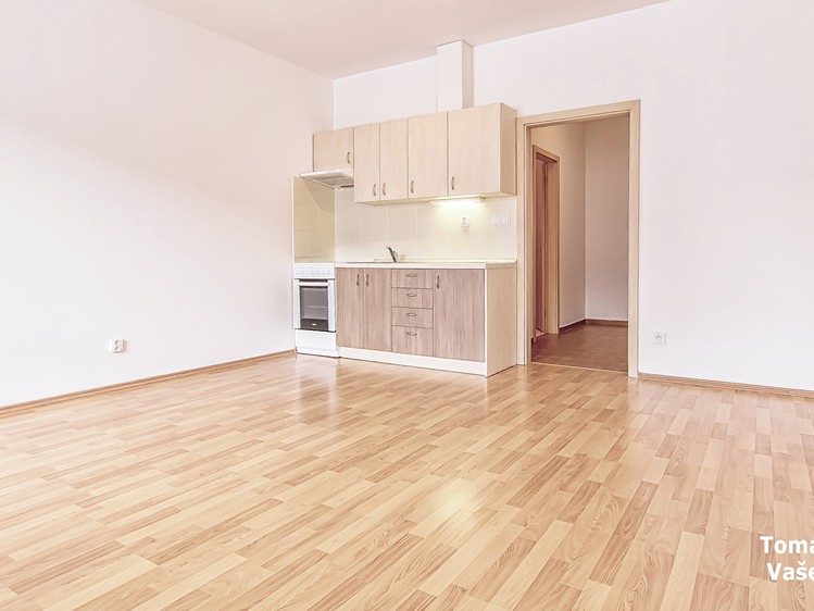 Квартира 1+kk в оренду, 31 м² (4 з 13)