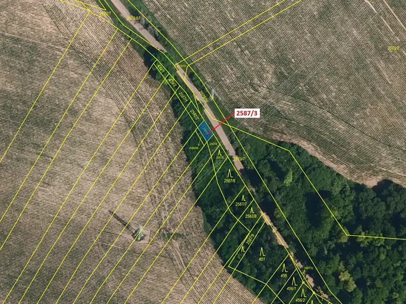 Dražba lesa 77 m², Horní Dunajovice – náhled fotky 2