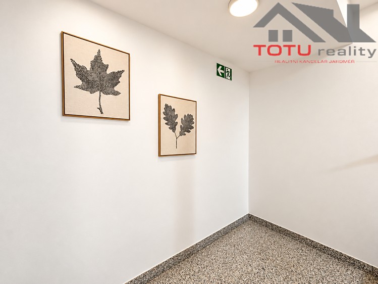 Квартира 1+kk в оренду, 45 м² (13 з 16)