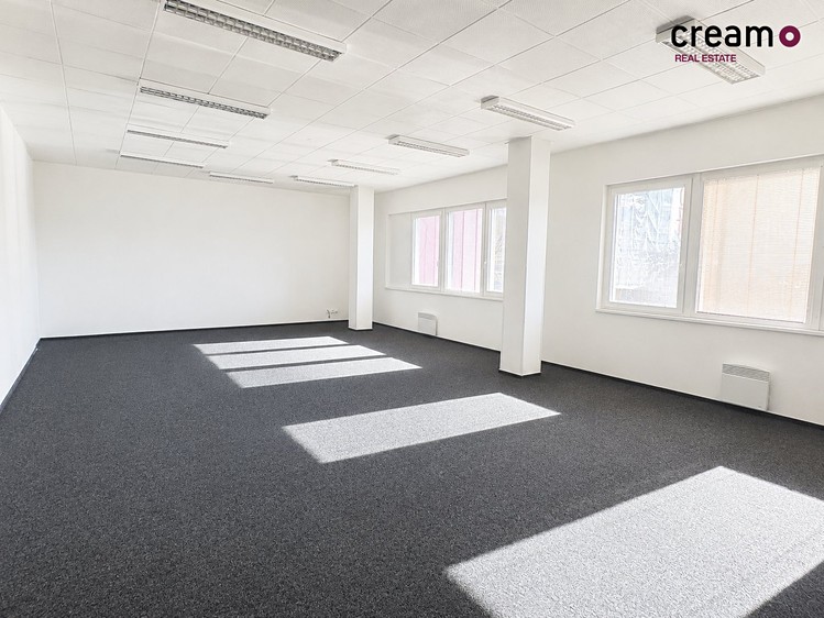 Pronájem komerčního prostoru, 73 m² (2 z 4)
