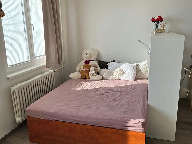 Ostatní