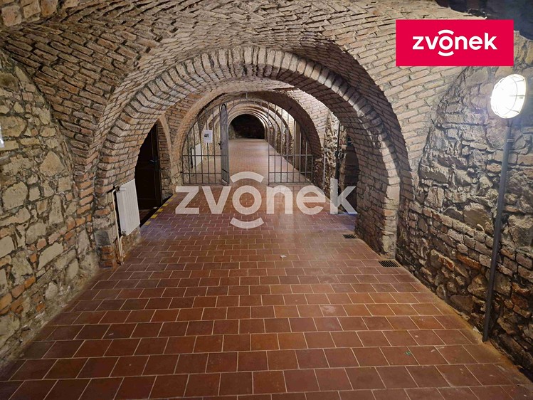Pronájem komerčního prostoru, 650 m² (1 z 35)
