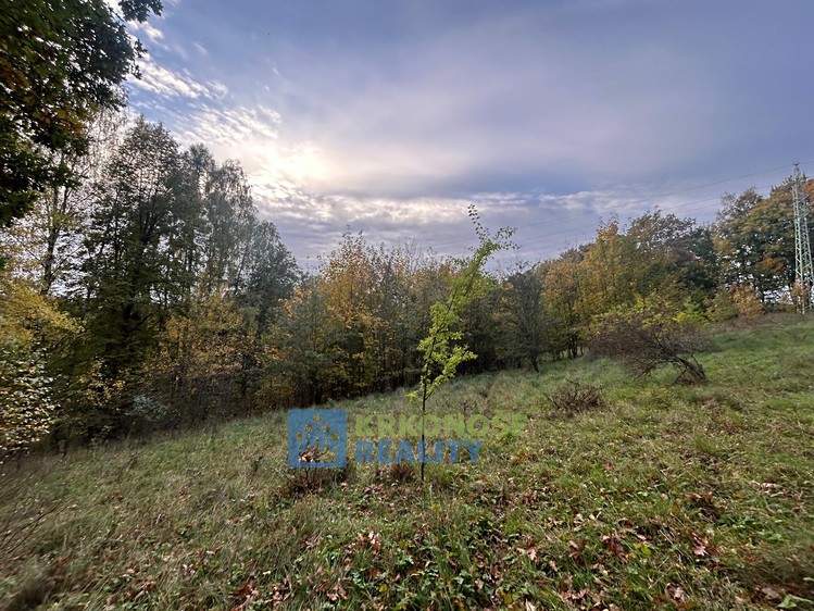 Ділянка на продаж, 4 756 м² (4 з 6)