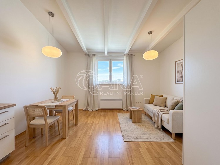 Wohnung 1+kk zur Miete, 39 m² (10 von 18)