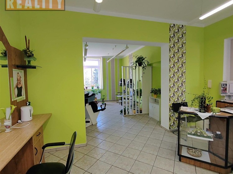 Pronájem komerčního prostoru, 45 m² (9 z 29)