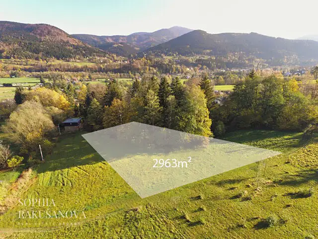 Prodej stavebního pozemku 2963 m², Ostravice – náhled fotky 2
