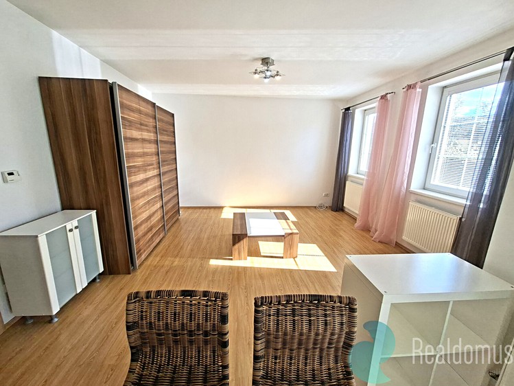 Wohnung 1+kk zur Miete, 40 m² (3 von 11)