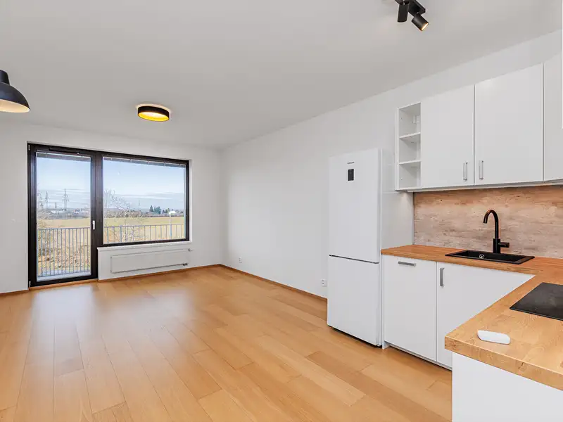 Pronájem bytu 1+kk 45 m², Praha – náhled fotky 1