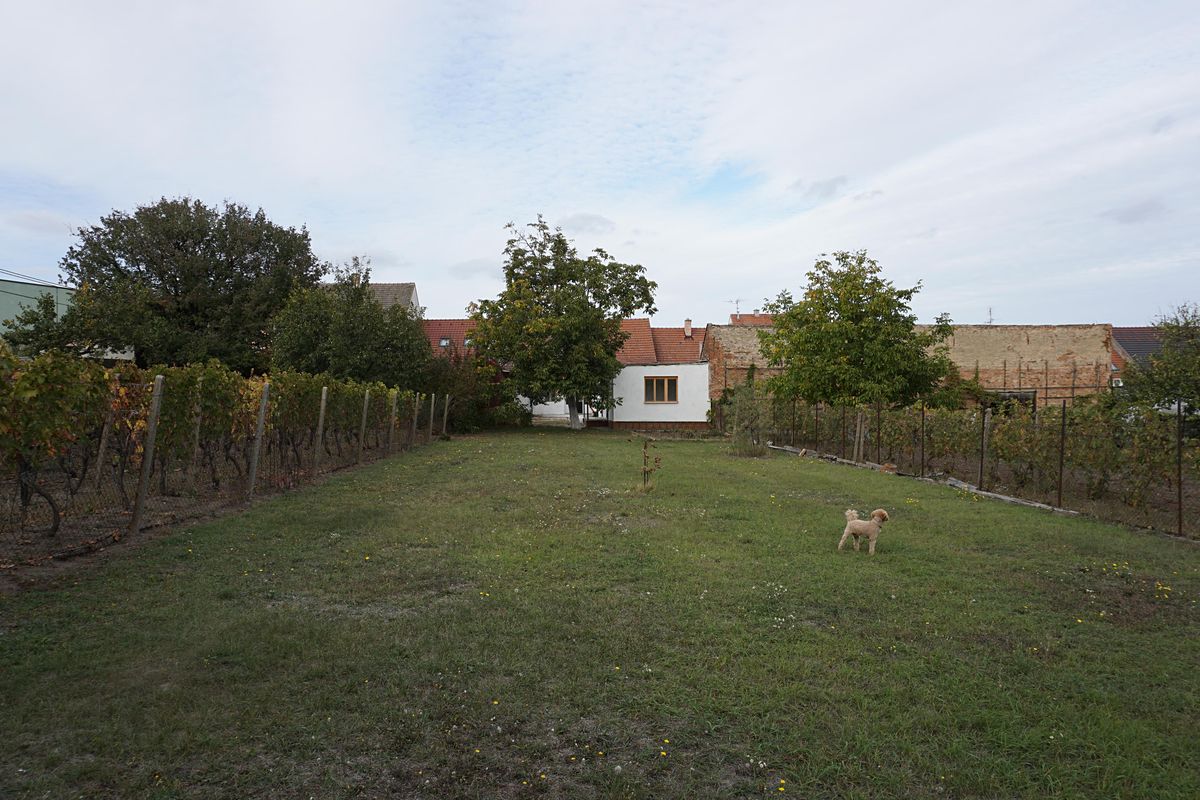 Prodej rodinného domu 127 m², pozemek 932 m², Velké Pavlovice – fotka 1 z 3
