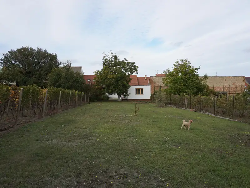 Prodej rodinného domu 127 m², pozemek 932 m², Velké Pavlovice – náhled fotky 1