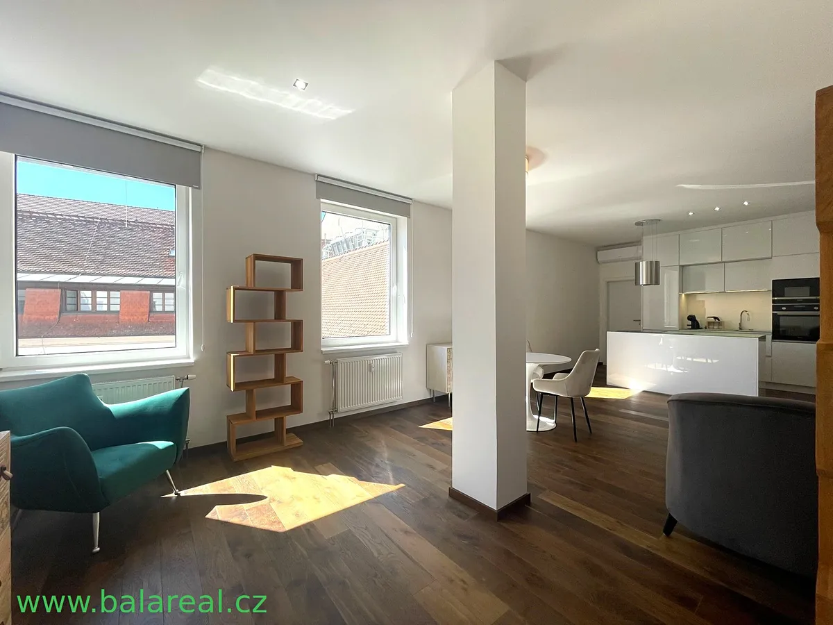 Pronájem bytu 1+kk 55 m²