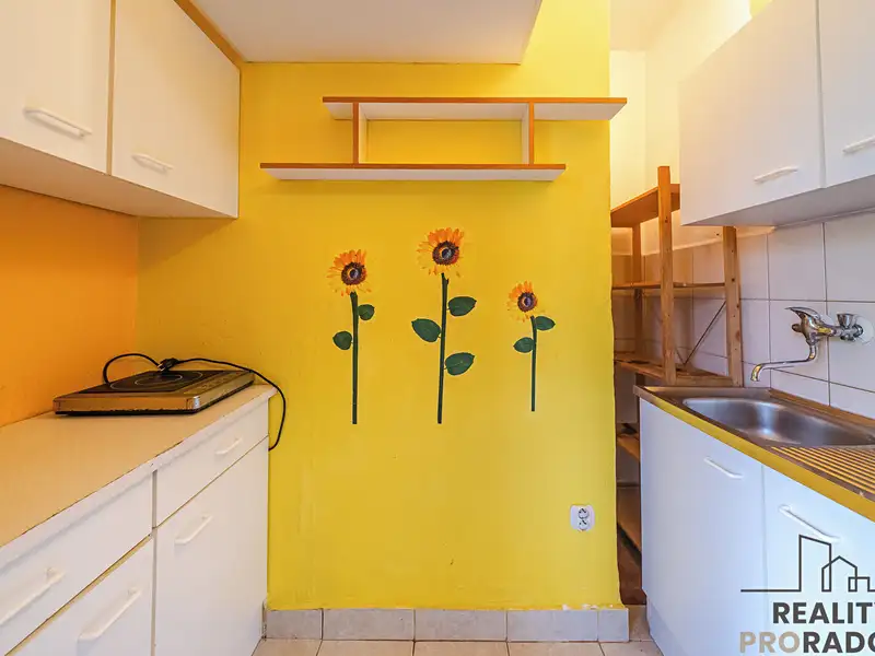 Prodej bytu 1+kk 28 m², Ostrava – náhled fotky 3