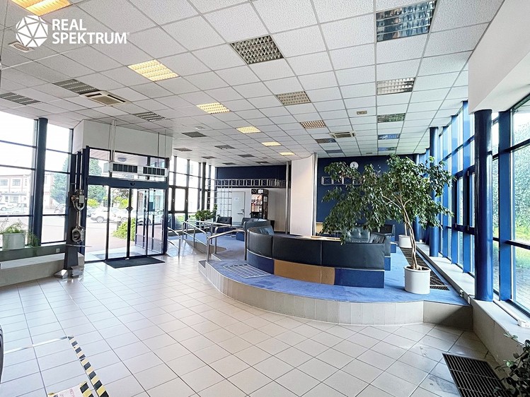 Комерційне приміщення в оренду, 484 м² (15 з 22)