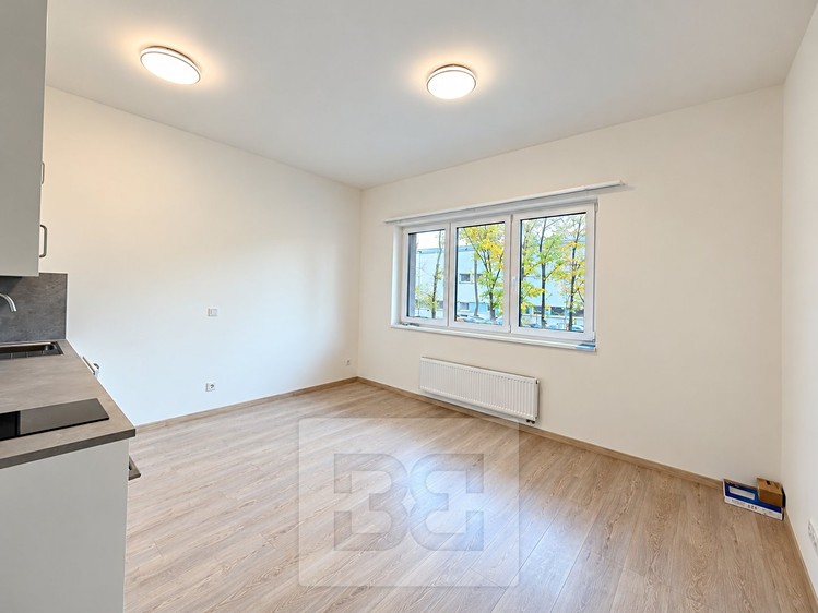 Pronájem bytu 1+kk, 27 m² (5 z 9)