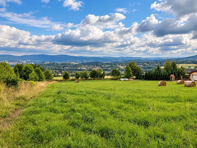 Prodej komerčního pozemku 65000 m², Šimonovice – náhled fotky 1