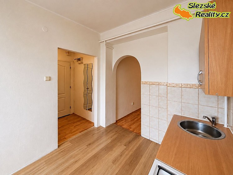 Pronájem bytu 1+1, 45 m² (4 z 24)