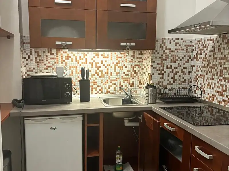 Pronájem bytu 2+kk 47 m², Karlovy Vary – náhled fotky 1
