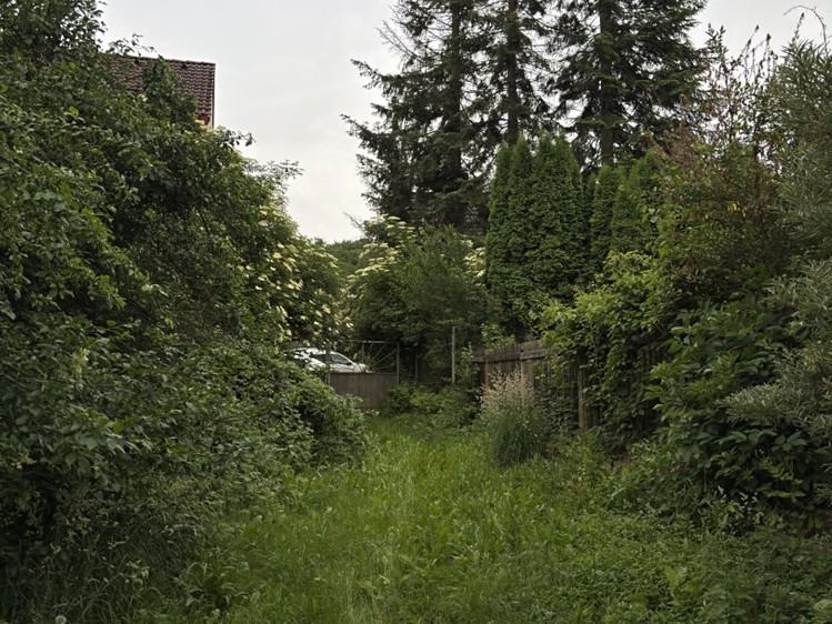 Haus zum Kauf, 139 m² (10 von 14)