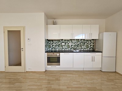 Pronájem bytu 2+kk, 65 m² (3 z 30)