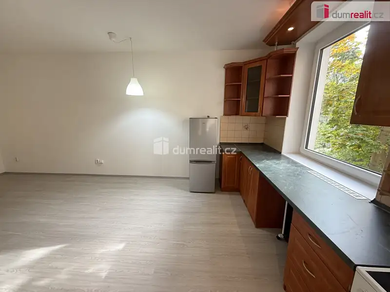 Pronájem bytu 2+kk 45 m², Praha – náhled fotky 2
