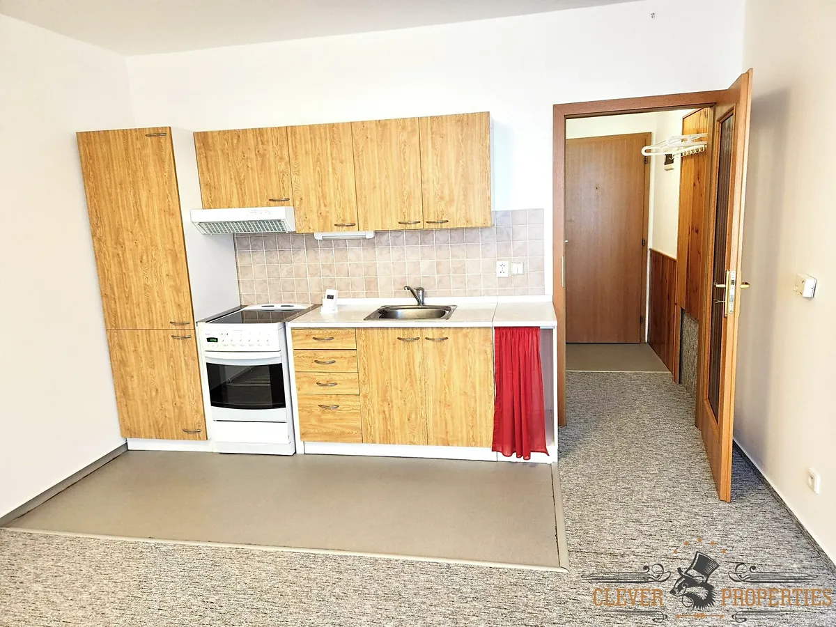 Pronájem bytu 1+kk 35 m²