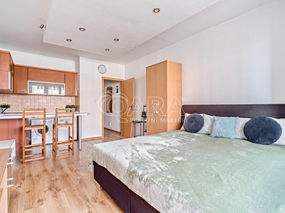 Prodej bytu 1+kk, 24 m² (3 z 14)