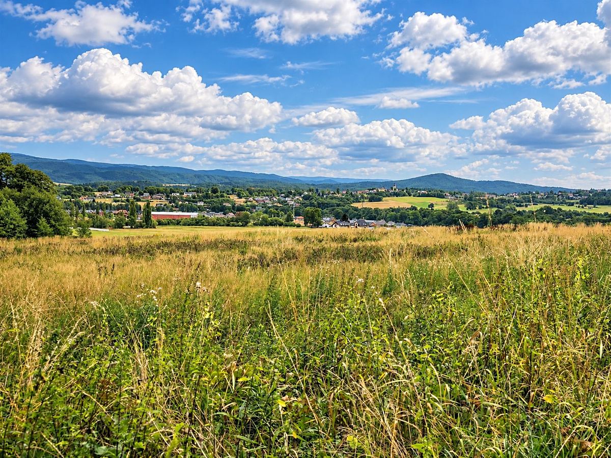 Prodej komerčního pozemku 20000 m², Šimonovice – fotka 1 z 3