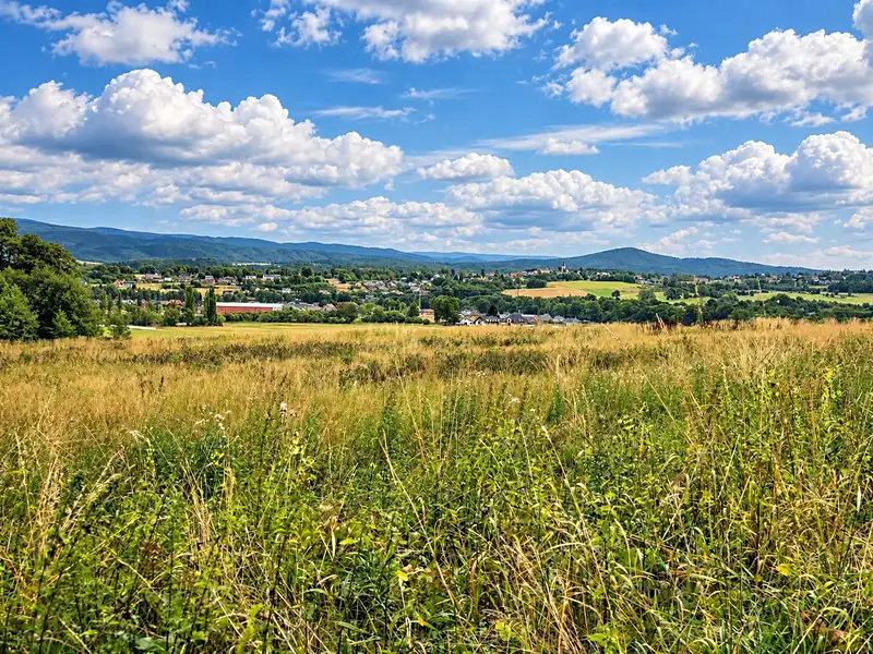 Prodej komerčního pozemku 20000 m², Šimonovice – náhled fotky 1
