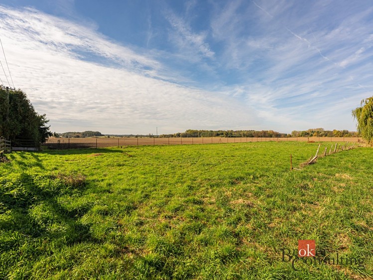 Grundstück zum Kauf, 700 m² (13 von 15)