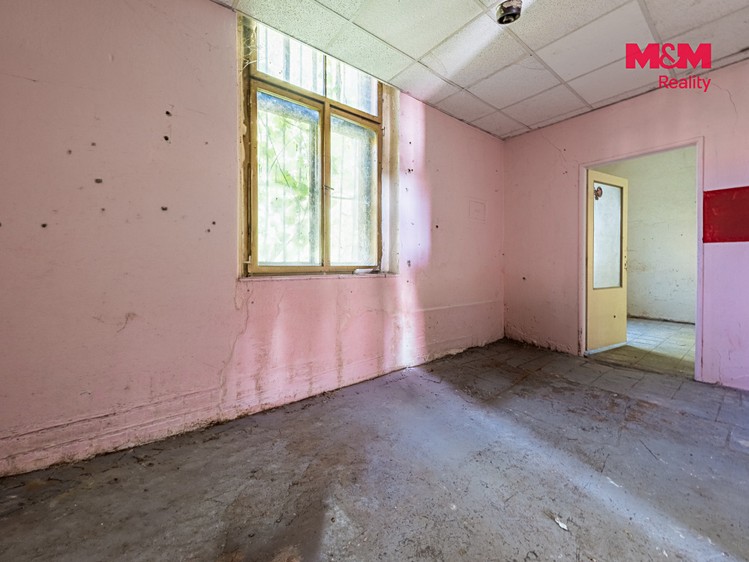 Будинок на продаж, 600 м² (12 з 29)