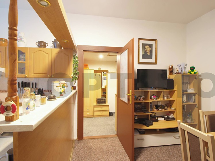 Prodej bytu 1+1, 44 m² (12 z 18)