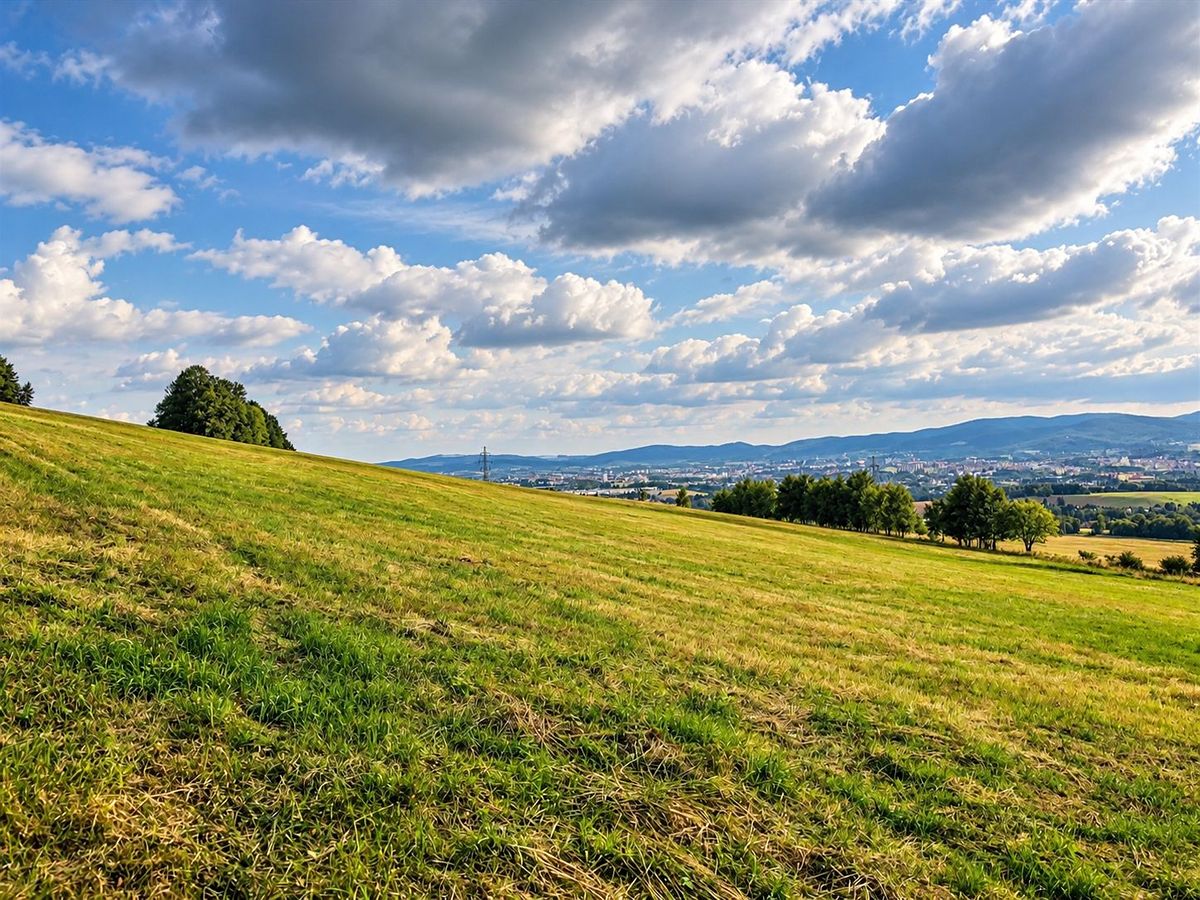 Prodej stavebního pozemku 65000 m², Šimonovice – fotka 1 z 3