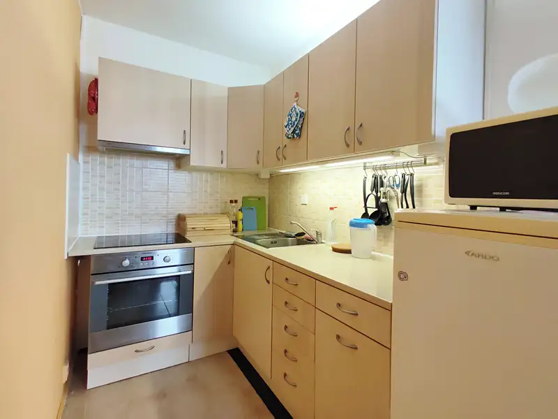 Prodej bytu 2+kk 50 m², Brno – náhled fotky 1